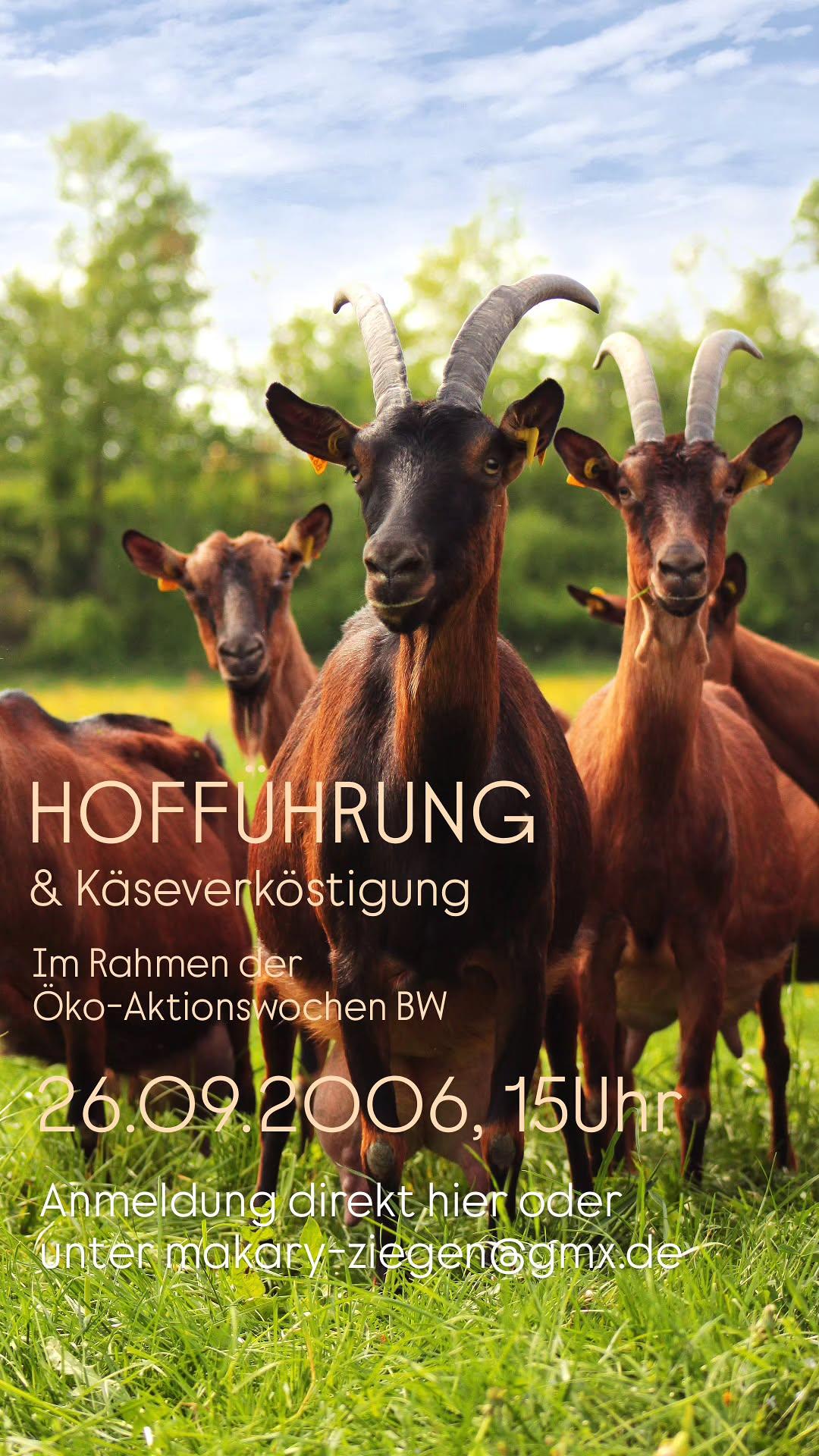 HOFFUHRUNG & Käseverköstigung Im Rahmen der Oko-Aktionswochen BW 26.09.2006, 15Uht Anmeldung direkt hier oder unter makary ziegengmx.de