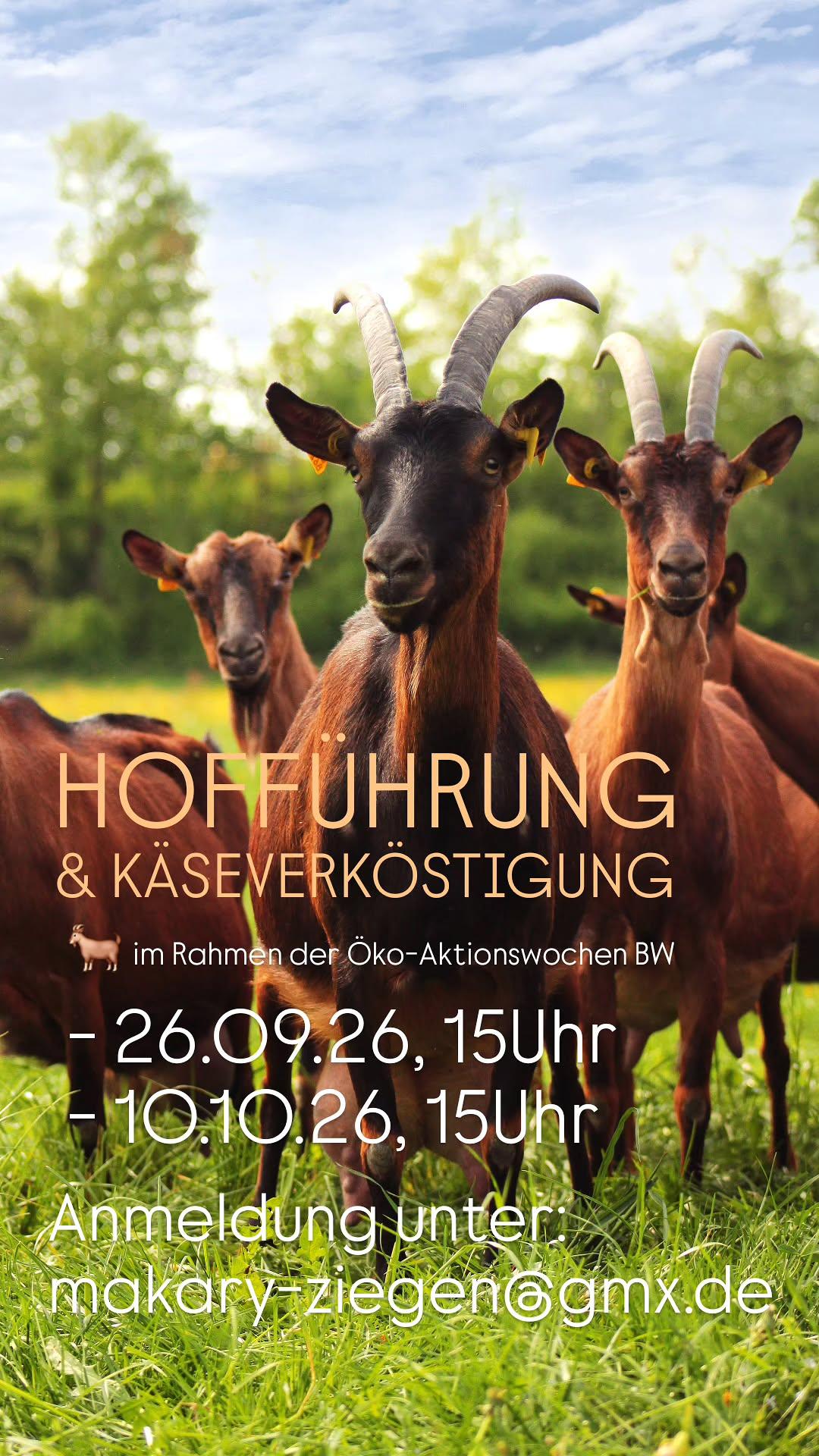 HOFFUHRUNG & Käseverköstigung Im Rahmen der Öko-Aktionswochen BW 26.09.2006, 15 Uhr Anmeldung direkt hier oder unter makary ziegengmx.de